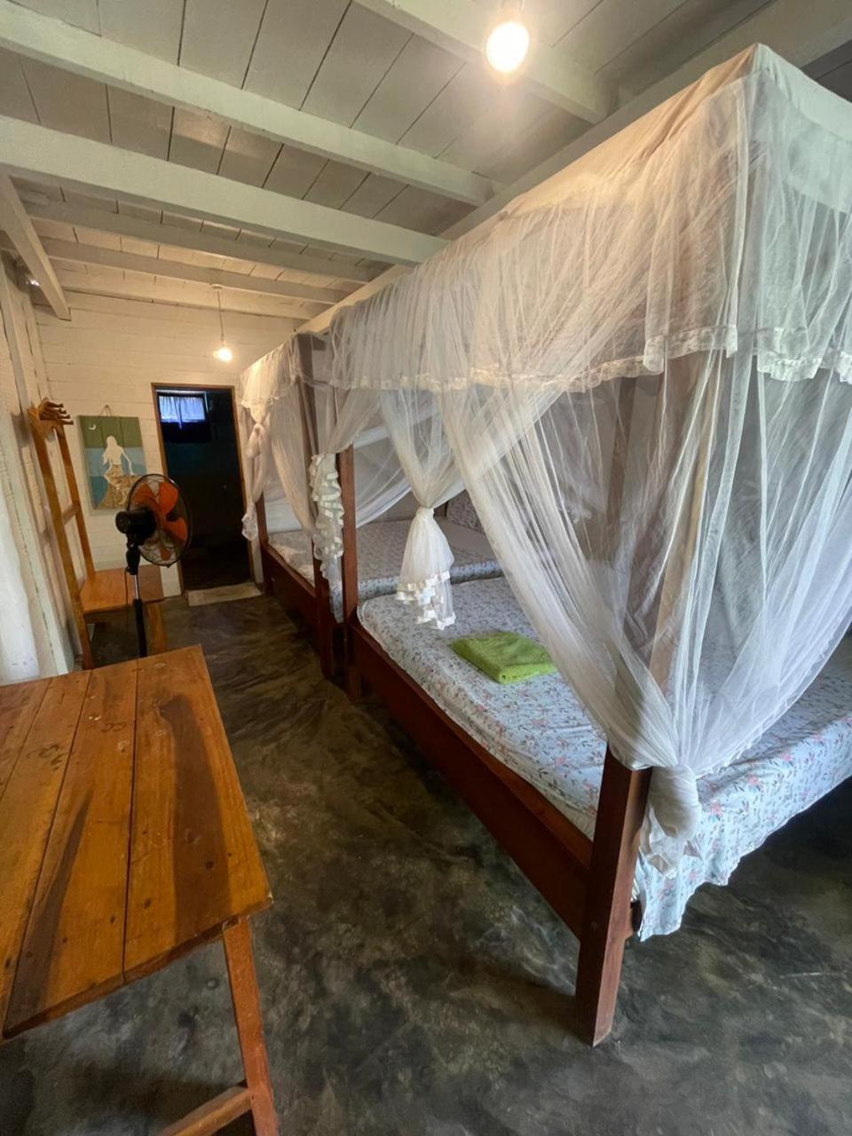 Vitamin Sea Beach Cabana ニラヴェリ エクステリア 写真
