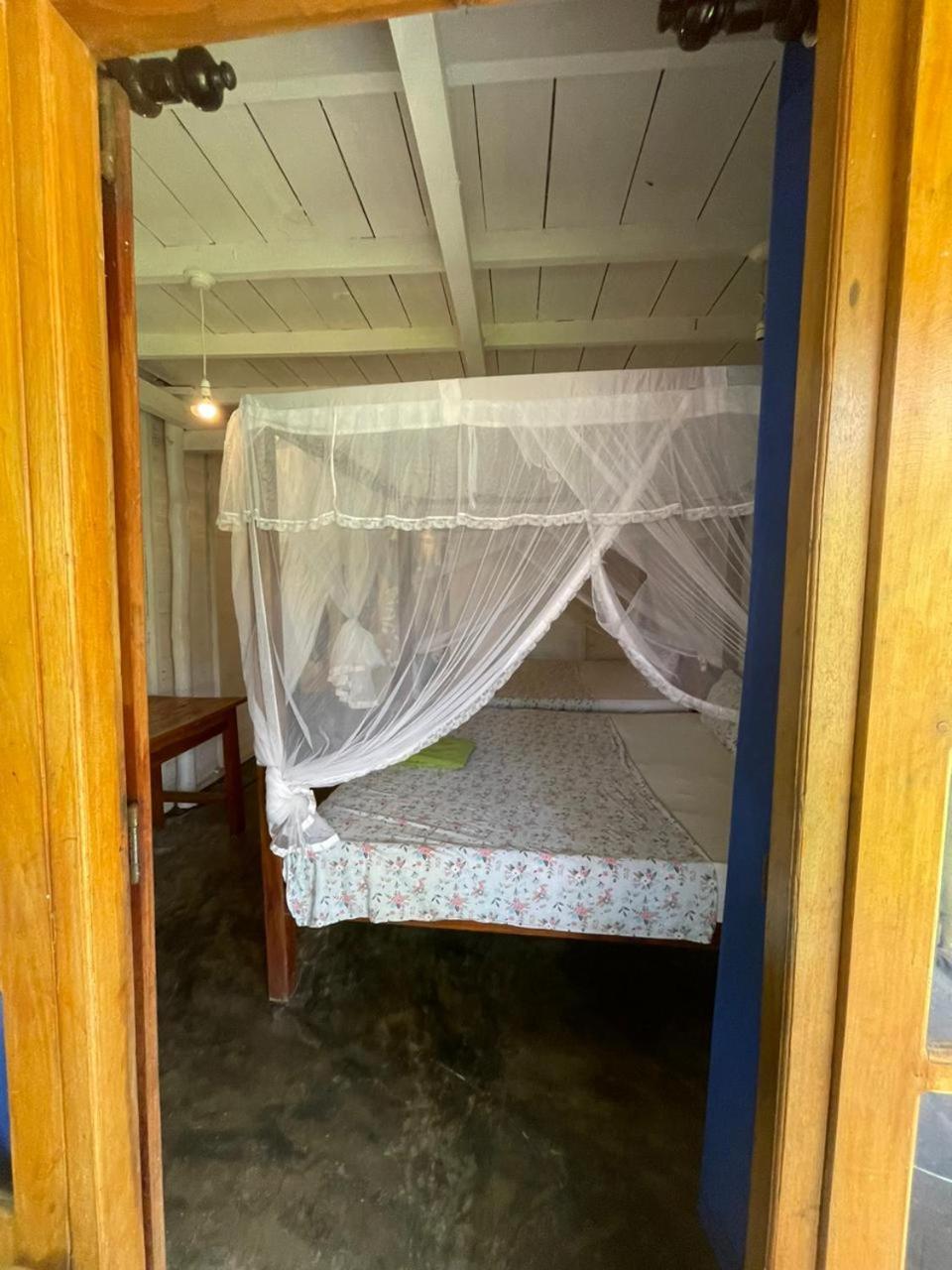 Vitamin Sea Beach Cabana ニラヴェリ エクステリア 写真